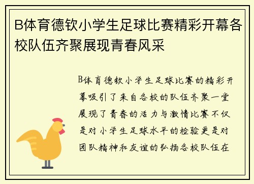 B体育德钦小学生足球比赛精彩开幕各校队伍齐聚展现青春风采